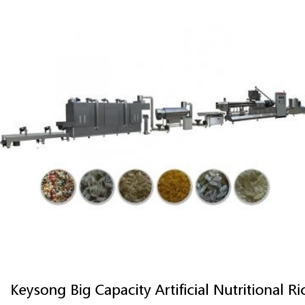 Keysong Big Capacity Artificial Nutritional Rice Processing Line