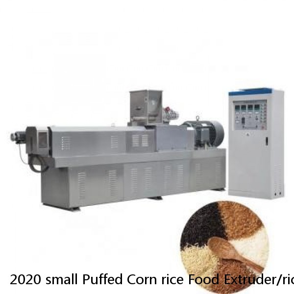 2020 small Puffed Corn rice Food Extruder/rice puffing puff snack machine for Snacks food