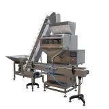 Powder Food Filling Machine and Bagging System with Multihead/Automatic Weighing Filing Packing Machine