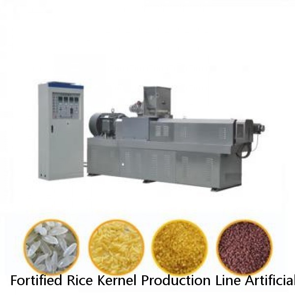 Fortified Rice Kernel Production Line Artificial Rice Extruder Making Machine fully-auto artificial rice making machine